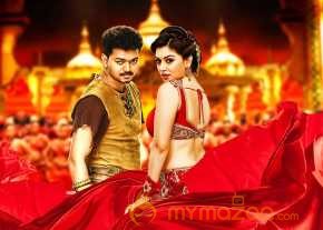 Puli photo 16