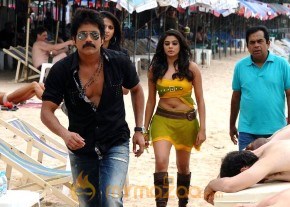 Ragada Moive Stills photo 14