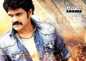 Ragada Audio Release Wallpapers photo 4