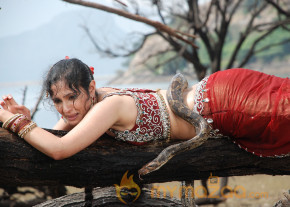 Rajakota Rahasyam Hot Movie Stills   photo 62