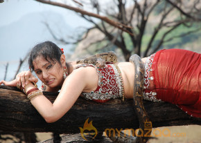 Rajakota Rahasyam Hot Movie Stills   photo 26