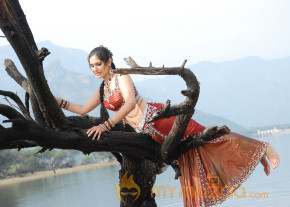Rajakota Rahasyam Hot Movie Stills   photo 160