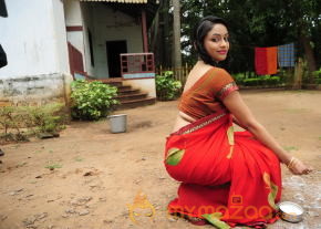 Rajmahal Movie Hot Stills  photo 28