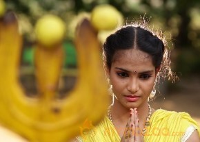 Raju Gari Intlo 7 Va Roju Movie Photos photo 12