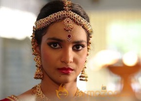 Raju Gari Intlo 7 Va Roju Movie Photos photo 26