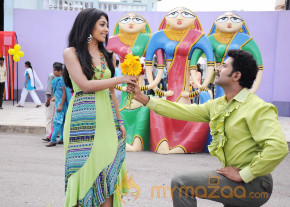 Ramachari Movie New Stills  photo 7