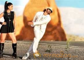 Rey photo 10