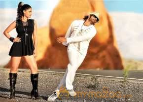 Rey photo 14
