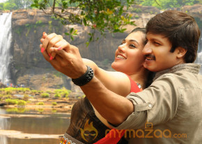 Sahasam New Movie Stills  photo 11