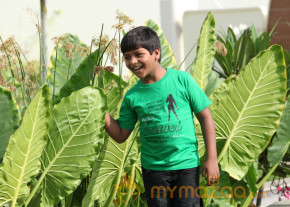 Saradaga Ammaitho Movie Working Stills  photo 13