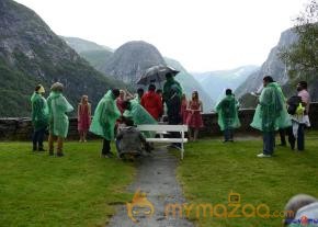 Shivam Movie Working Stills  photo 25