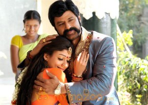 Simha Movie Stills photo 45