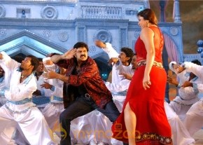Simha Movie Stills photo 8