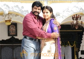 Simha Movie Stills photo 3