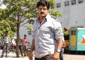 Simha Movie Stills photo 24