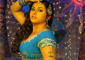 Simha Movie Stills photo 31