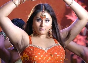 Simha Movie Stills photo 28