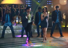 Singam New Movie Stills  photo 14