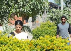  Sita Sriram  photo 12