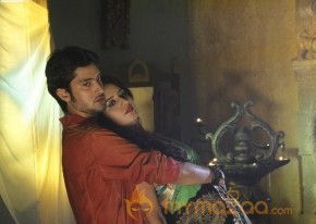 Sitara Cinema Stills photo 27