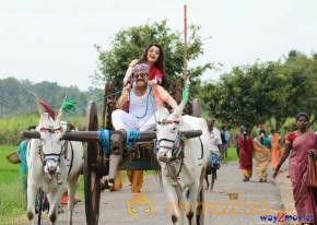 Soggade Chinni Nayana Movie Latest Stills photo 5
