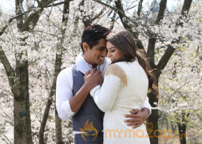 Something Something Movie Hot Stills  photo 11