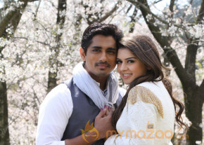 Something Something Movie Hot Stills  photo 33