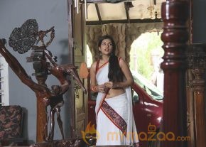 Spicy: Shraddha Das from Punnami Ratri photo 8