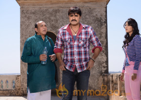 Srikanth's AVM Movies Stills  photo 8