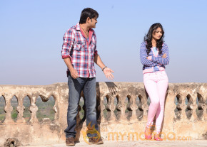Srikanth's AVM Movies Stills  photo 20
