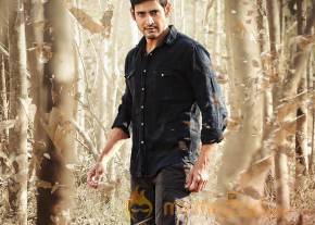 Srimanthudu Telugu Movie Latest Stills photo 14