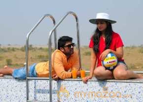 Swimming Pool photo 2