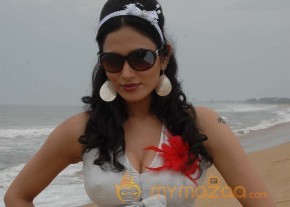 Swiss Bank ki Daredi Movie Stills  photo 11