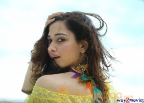 Tadakha Movie Stills  photo 13