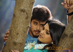 Telugabbai New Movie Stills  photo 25