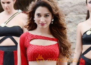 Telugu Movie Oopiri latest photoshoot stills photo 4