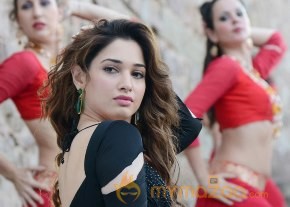 Telugu Movie Oopiri latest photoshoot stills photo 7