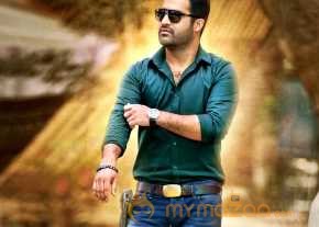 Temper photo 2