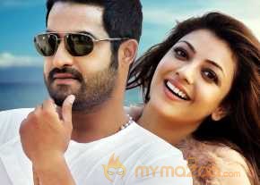 Temper photo 4
