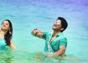 Thadaka Latest Movie Stills  photo 5