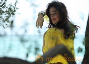 Thadaka Latest Movie Stills  photo 21