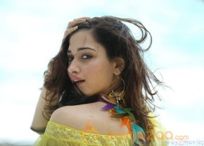 Thadaka Latest Movie Stills  photo 36