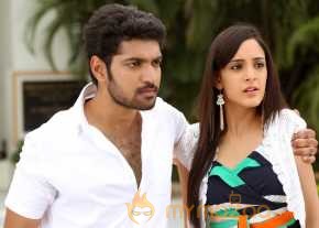 Tippu photo 2