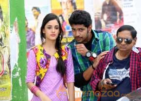Tippu photo 6