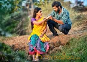 Tungabhadra photo 7