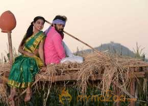 Tungabhadra photo 10