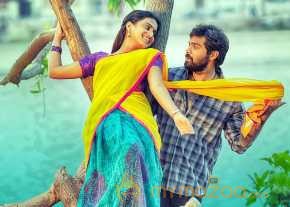Tungabhadra photo 11