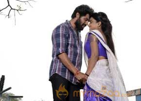Tungabhadra photo 14