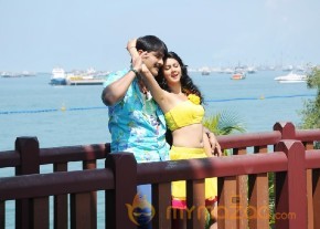 Veediki Dookudekkuva Movie Stills photo 8