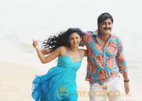 Veediki Dookudekkuva Movie Stills photo 23
